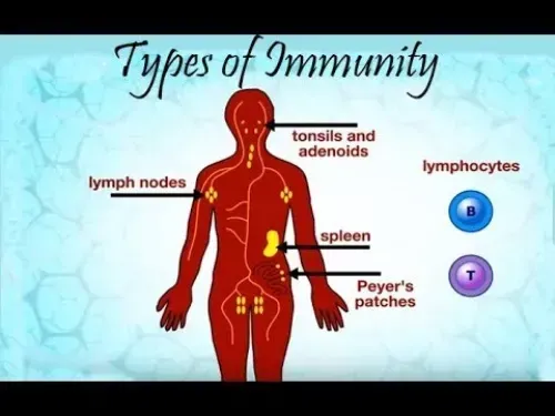 Immuniti+ : zloženie iba prírodné zložky.